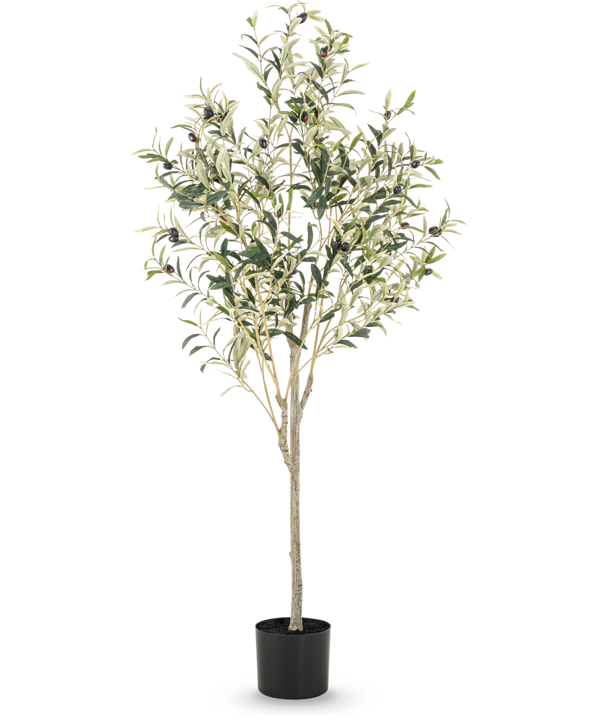 Der künstliche Olivenbaum 150 cm hat schlanke Zweige und grüne Blätter mit kleinen schwarzen Oliven in einem schlichten schwarzen Topf, ideal, um jedem Raum eine mediterrane Atmosphäre zu verleihen.