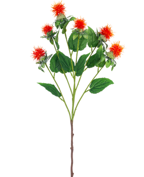 De Kunstbloem Saffloer 79 cm oranje heeft een enkele steel met meerdere takken, elk met piekerige oranjerode en gele bloemen met groene bladeren, tegen een witte achtergrond.