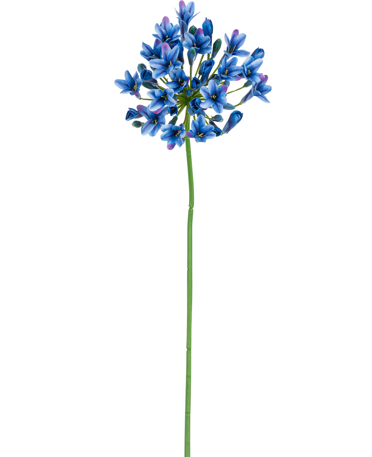 Die künstliche Blume Agapanthus 77 cm blau hat einen langen grünen Stiel mit einem Strauß leuchtend blauer und violetter Blüten auf einem schlichten weißen Hintergrund.