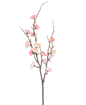 De Kunsttak Prunus 78 cm roze heeft een enkele donkerbruine tak met kleinere uitlopers, versierd met roze en witte kersenbloesembloemen en groene knoppen, tegen een effen witte achtergrond.