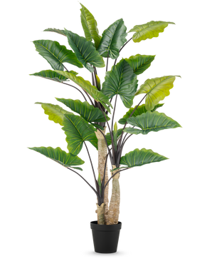 De Kunstplant Alocasia 240 cm is een hoge kunstplant met grote groene bladeren en meerdere stengels in een zwarte pot, tegen een effen witte achtergrond.