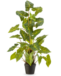 Kunstpflanze Trapa Bispinosa 90 cm grün