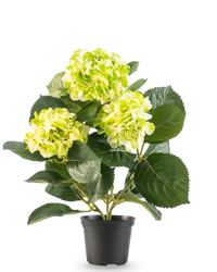 Künstliche Hortensie Grün 35 cm
