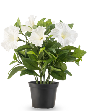 De Kunstbloem Petunia plant UV 25 cm groot heeft grote witte trompetvormige bloemen en weelderige groene bladeren in een zwarte plastic pot, tegen een effen witte achtergrond.