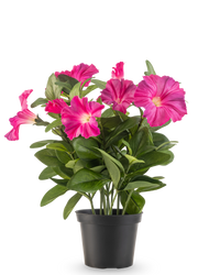 Künstliche Petunie Pflanze 25 cm dunkelrosa