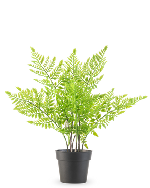 De Kunstplant Varen 35 cm is een kunstmatige groene varen met delicate, veerachtige bladeren in een eenvoudige zwarte plastic pot, tegen een effen witte achtergrond.