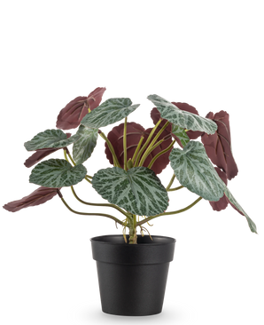 De Kunstplant Saxifraga 27 cm heeft groene bladeren met witte nerven en roodpaarse onderkanten, gepresenteerd in een eenvoudige zwarte pot tegen een effen witte achtergrond.