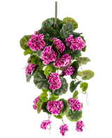 De Kunst hangplant Geranium 75 cm paars heeft weelderige groene bladeren en trossen levendige paars-magenta bloemen met witte randen, die sierlijk naar beneden vallen aan een verticale steel voor een prachtig hangend display.