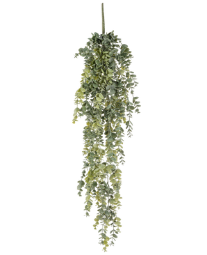 De Kunst hangplant Eucalyptus 60 cm heeft realistische, kleine ronde groene bladeren die naar beneden vallen, waardoor een levensechte kunstmatige eucalyptus ontstaat tegen een effen witte achtergrond.