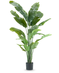 Kunstpflanze Strelitzia Nicolai Deluxe 200 cm