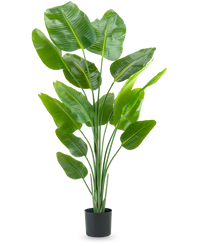 Künstliche Pflanze Strelitzia 180 cm real touch
