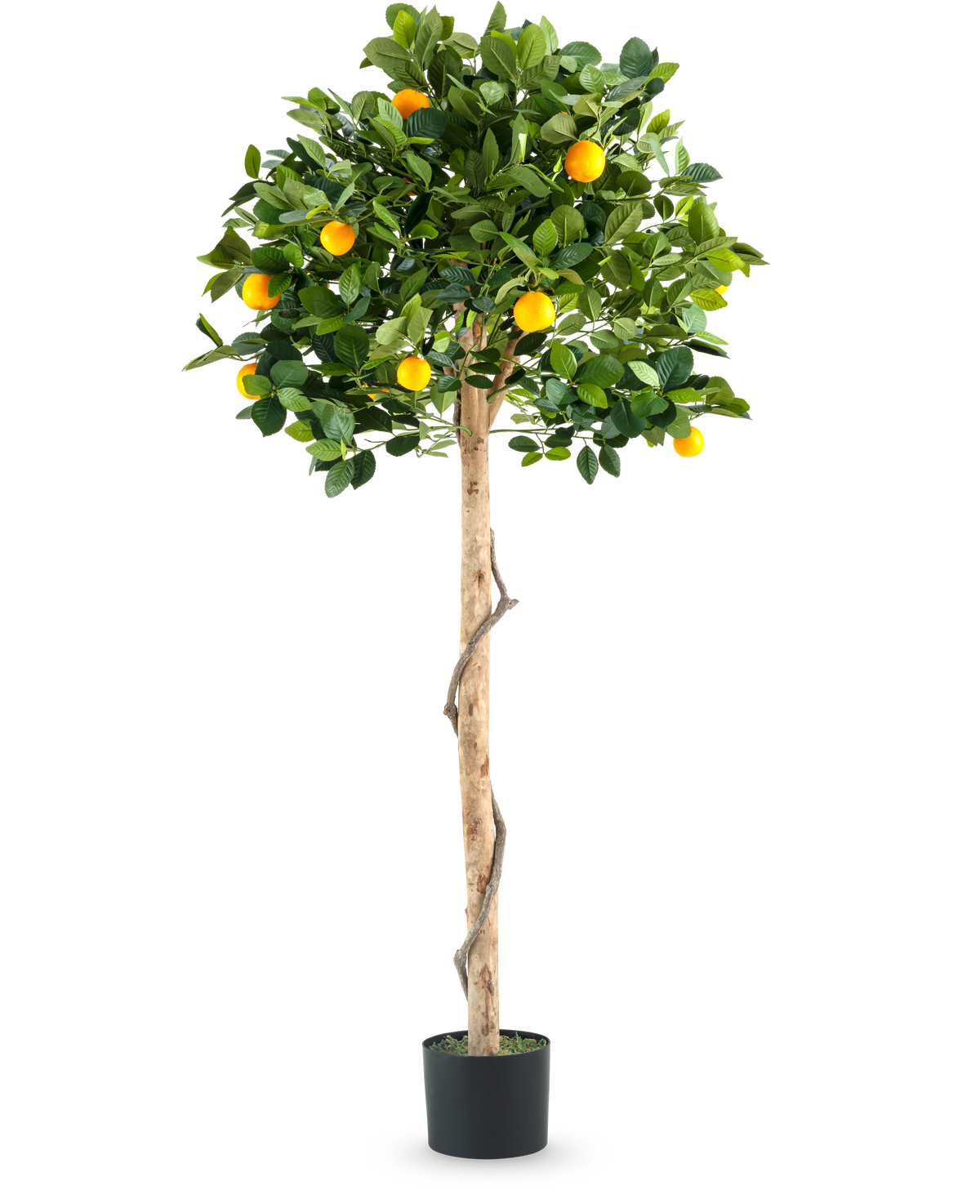 Ein künstlicher Orangenbaum mit einem Stamm von 150 cm im Topf mit einem schlanken Stamm, leuchtend grünen Blättern und realistischen orangefarbenen Früchten, abgebildet vor einem schlichten weißen Hintergrund.