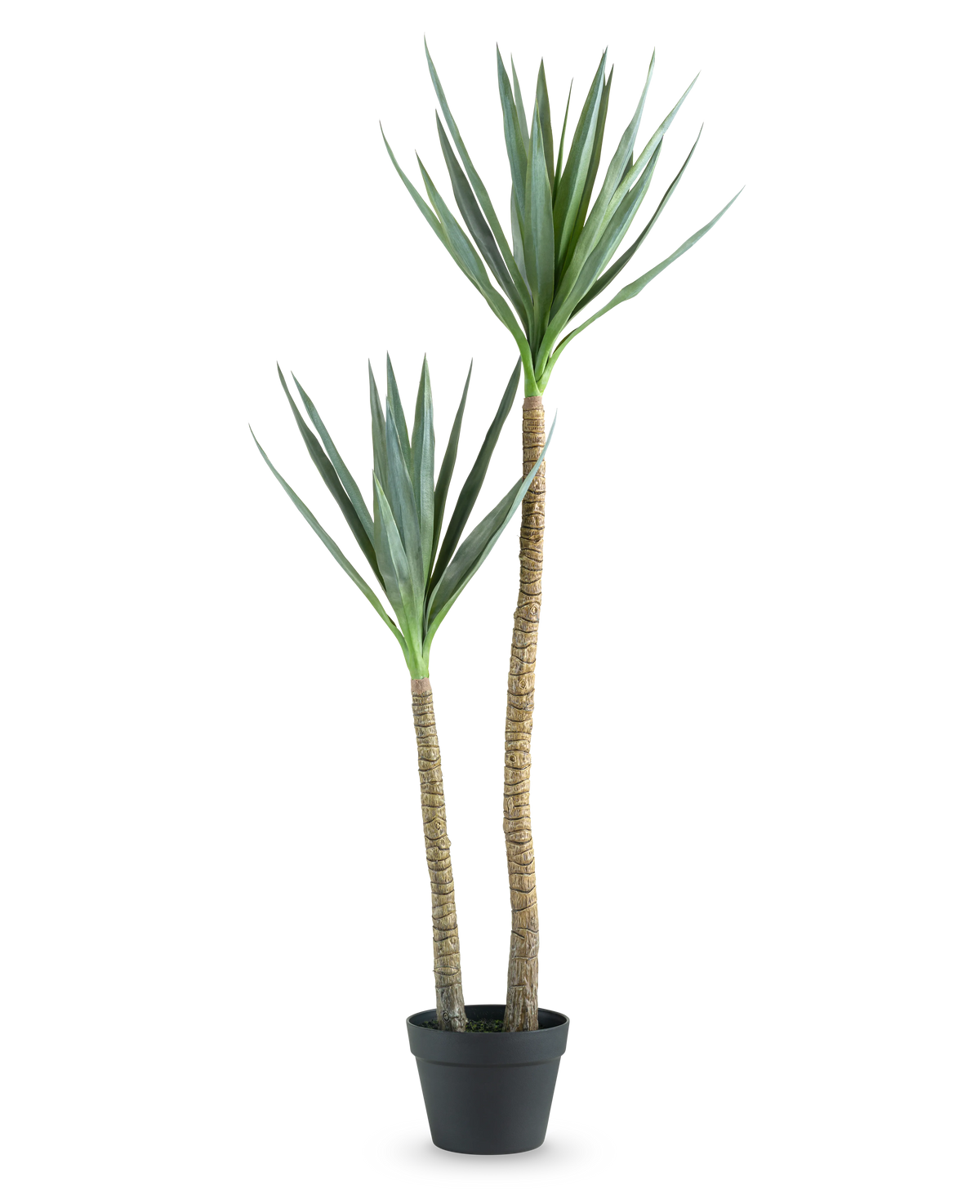 Die Kunstpflanze Heneken 120 cm ist eine künstliche Yucca-Pflanze mit zwei hohen, schlanken Stämmen und spitzen grünen Blättern vor einem schlichten weißen Hintergrund.