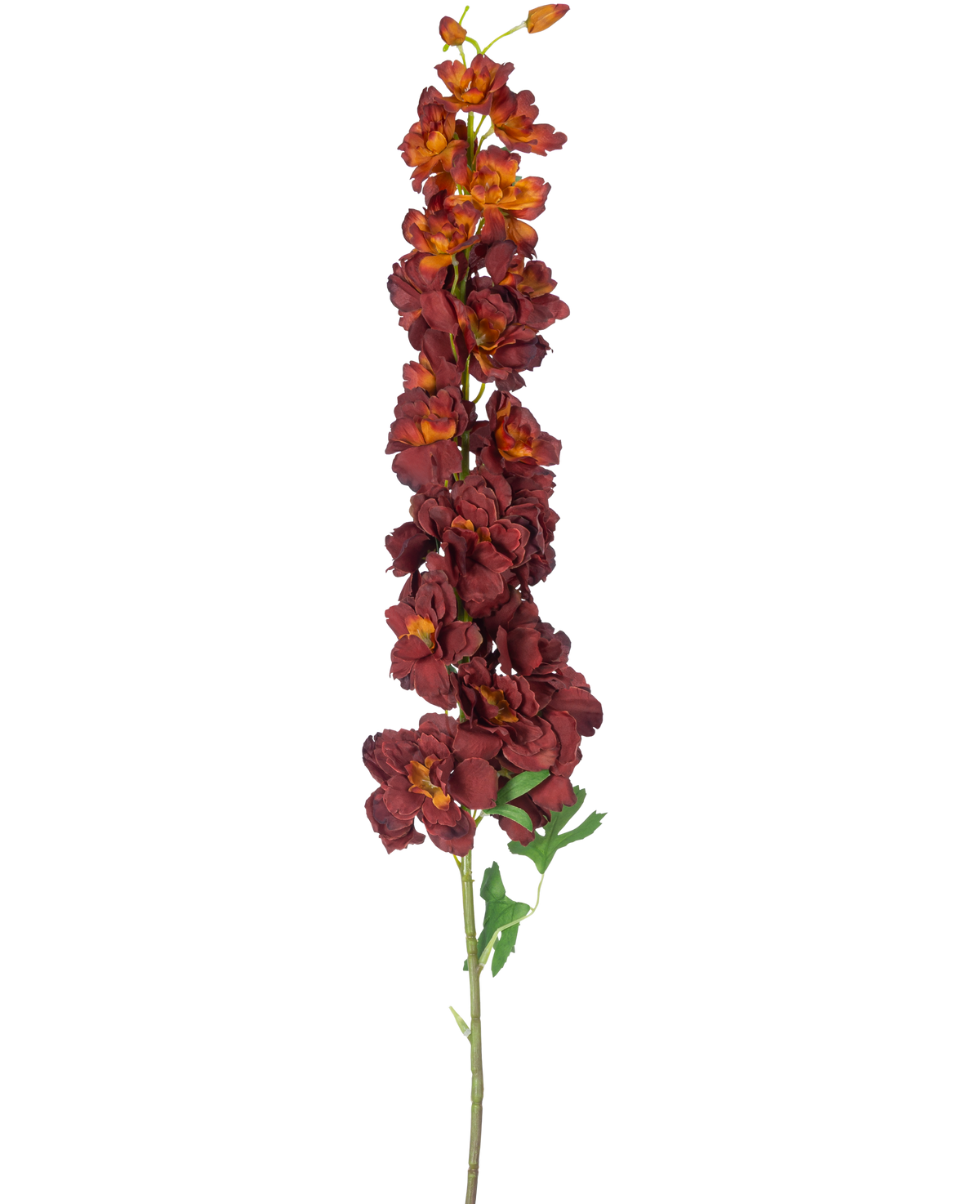 Die Kunstblume Delphinium 105 cm bordeaux hat einen langen, einzelnen Stiel mit mehreren dunkelroten und orangefarbenen Kunstblumen und grünen Blättern, isoliert auf weißem Hintergrund.