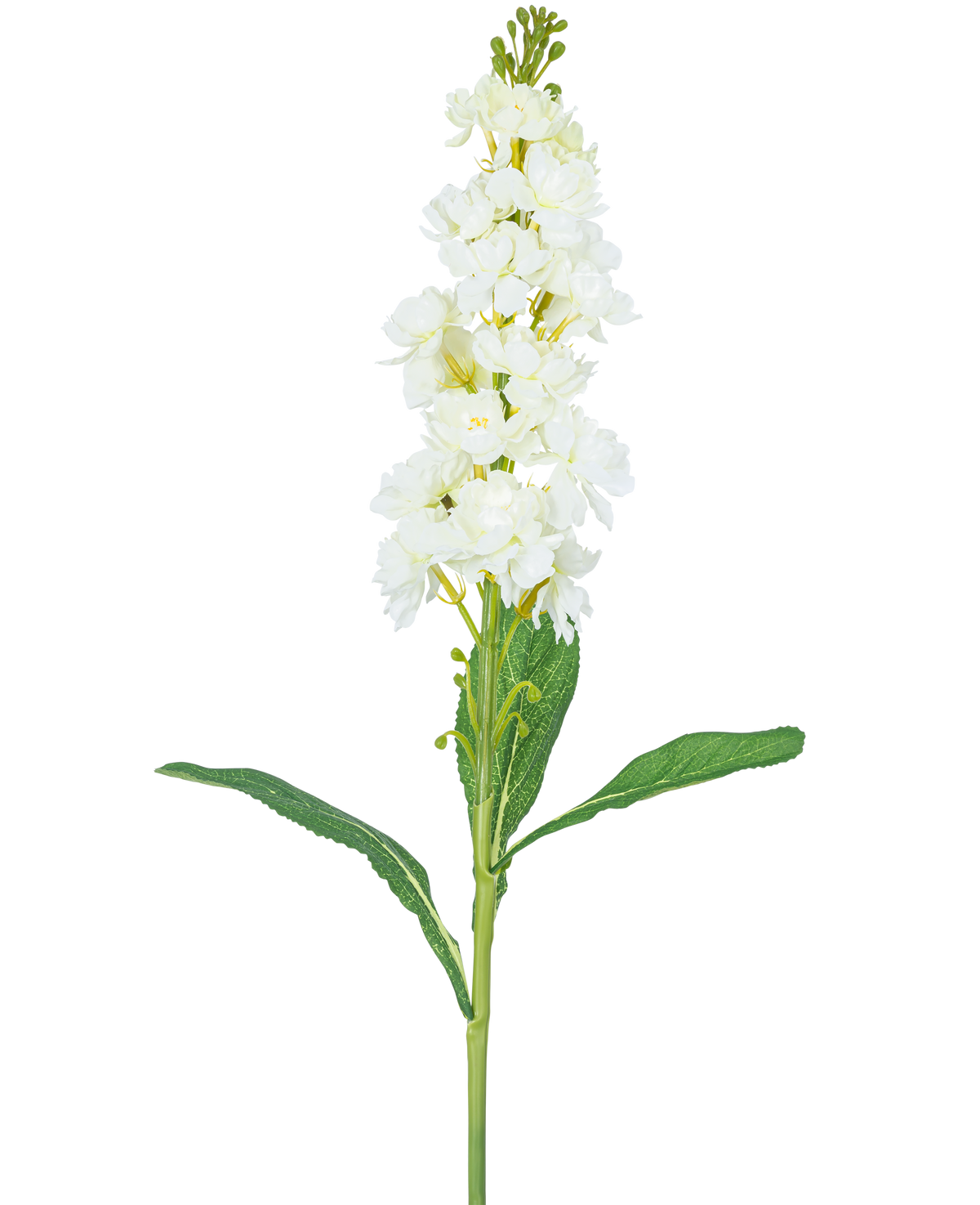 Die künstliche Blume Violier 78 cm weiß hat einen langen Stiel mit weißen Blütenbüscheln an der Spitze und langen grünen Blättern vor einem schlichten weißen Hintergrund.
