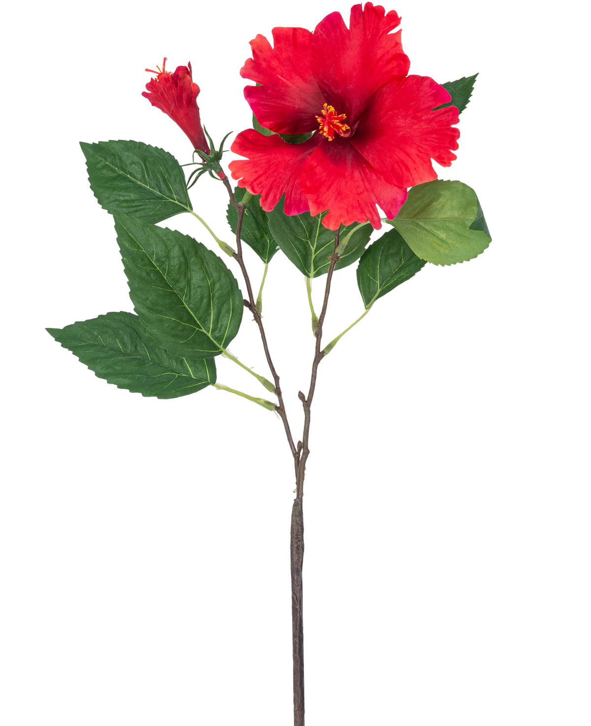 Die künstliche Hibiskusblume 63 cm rot hat einen einzelnen Stiel mit leuchtend roten Hibiskusblüten und grünen Blättern vor einem schlichten weißen Hintergrund.
