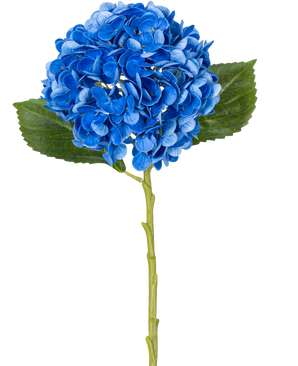 De Kunstbloem Charlotte hortensia Real Touch Blauw 49 cm is een enkele blauwe hortensia met groene bladeren en een lange steel, afgebeeld tegen een witte achtergrond.