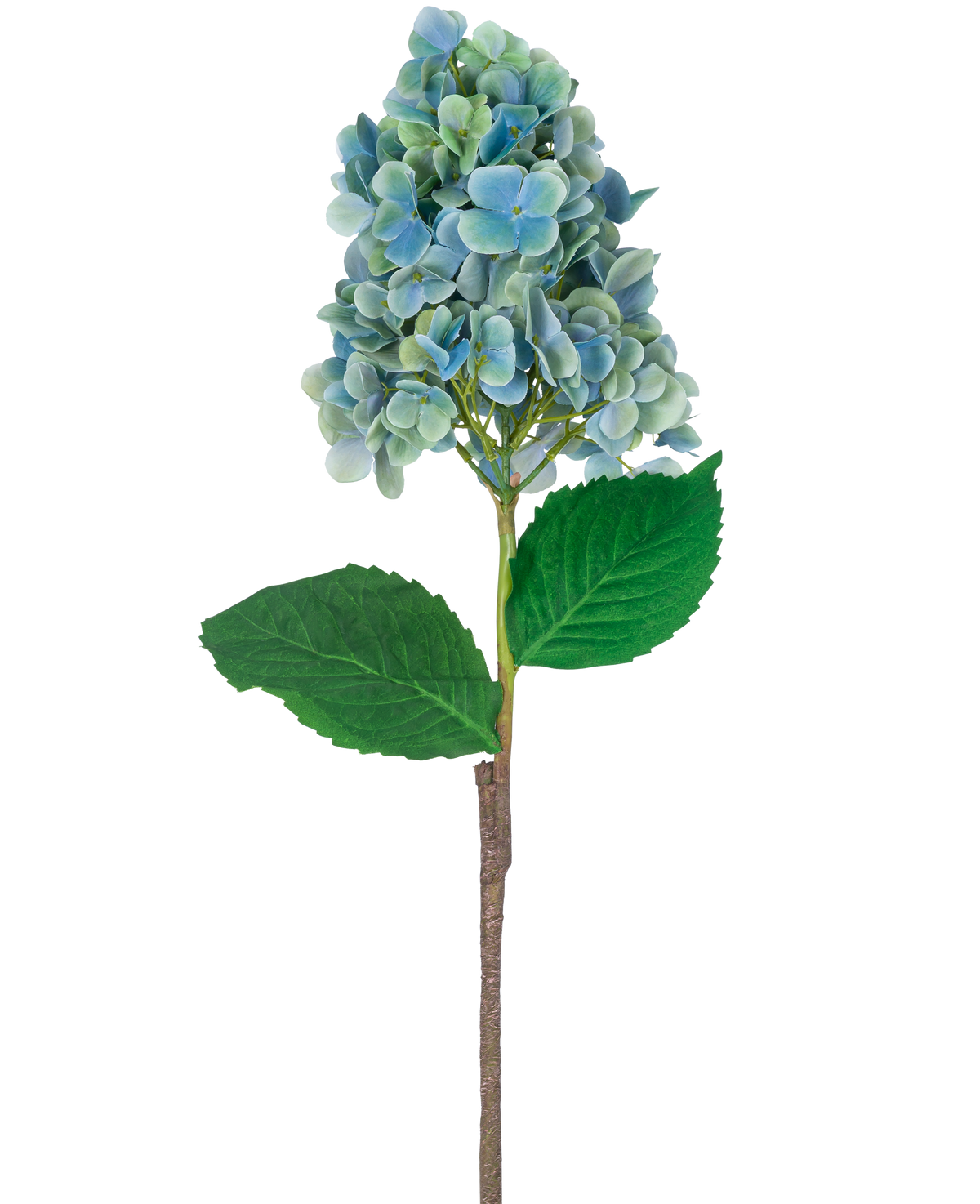 Ein einzelner Stiel einer künstlichen Hortensie 93 cm blau mit blauen und grünen Hortensienblüten mit üppig grünen Blättern, isoliert auf weißem Hintergrund.