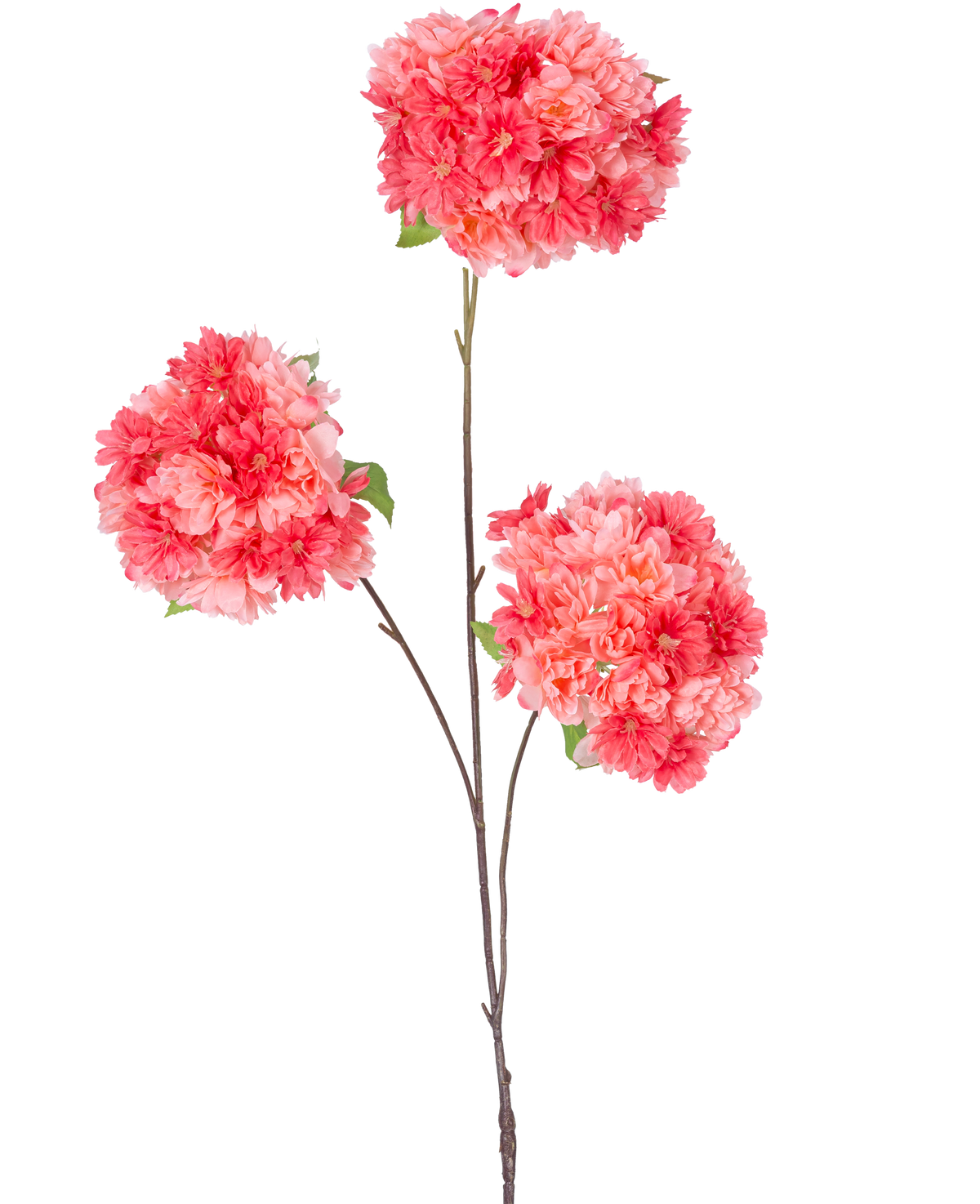 Ein einzelner dünner brauner Stiel der künstlichen Zweig-Kirschblüten-Koralle (85 cm) enthält drei Büschel leuchtend rosa und korallenroter Kirschblüten mit grünen Blättern vor einem schlichten weißen Hintergrund.