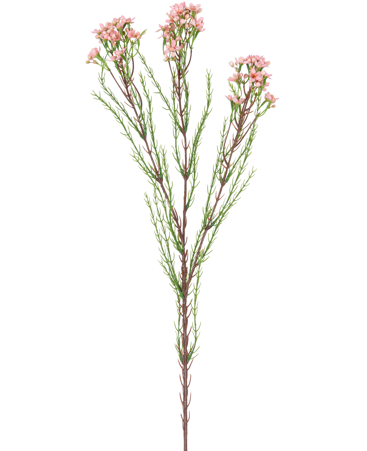 Der künstliche Zweig Wachsblume 78 cm rosa hat einen einzelnen Stiel mit dünnen grünen Blättern und mehreren Büscheln kleiner, hellrosa Blüten an der Spitze vor einem weißen Hintergrund.