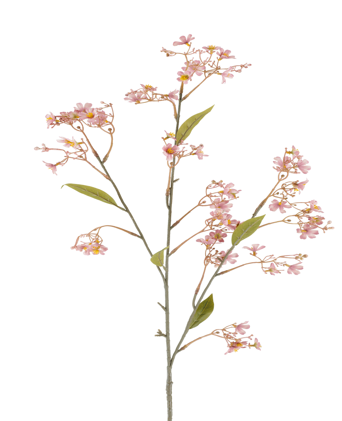 Ein einzelner Stiel der künstlichen Blume Daphne von 108 cm in Altrosa, mit kleinen Büscheln zartrosa Blüten und einigen grünen Blättern vor einem weißen Hintergrund.
