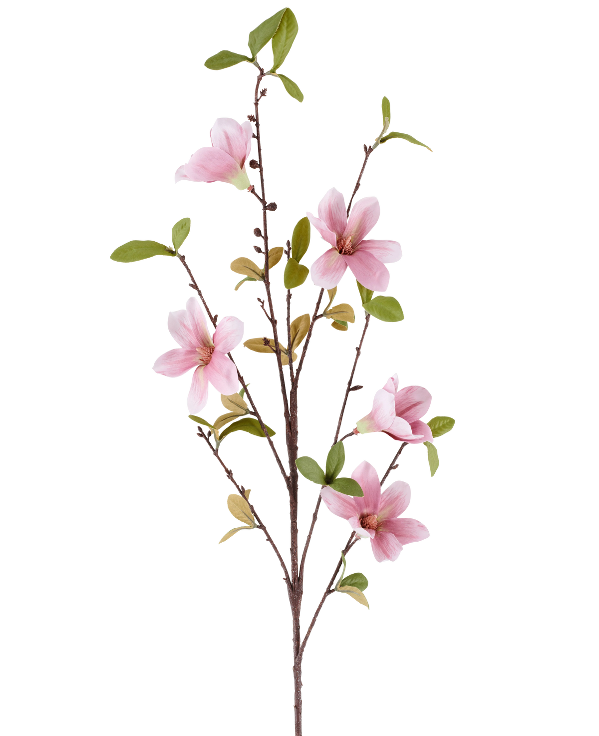 Ein schlanker Kunstblumen-Magnolienzweig von 94 cm in Altrosa mit mehreren rosa Magnolienblüten und grünen Blättern vor einem weißen Hintergrund.