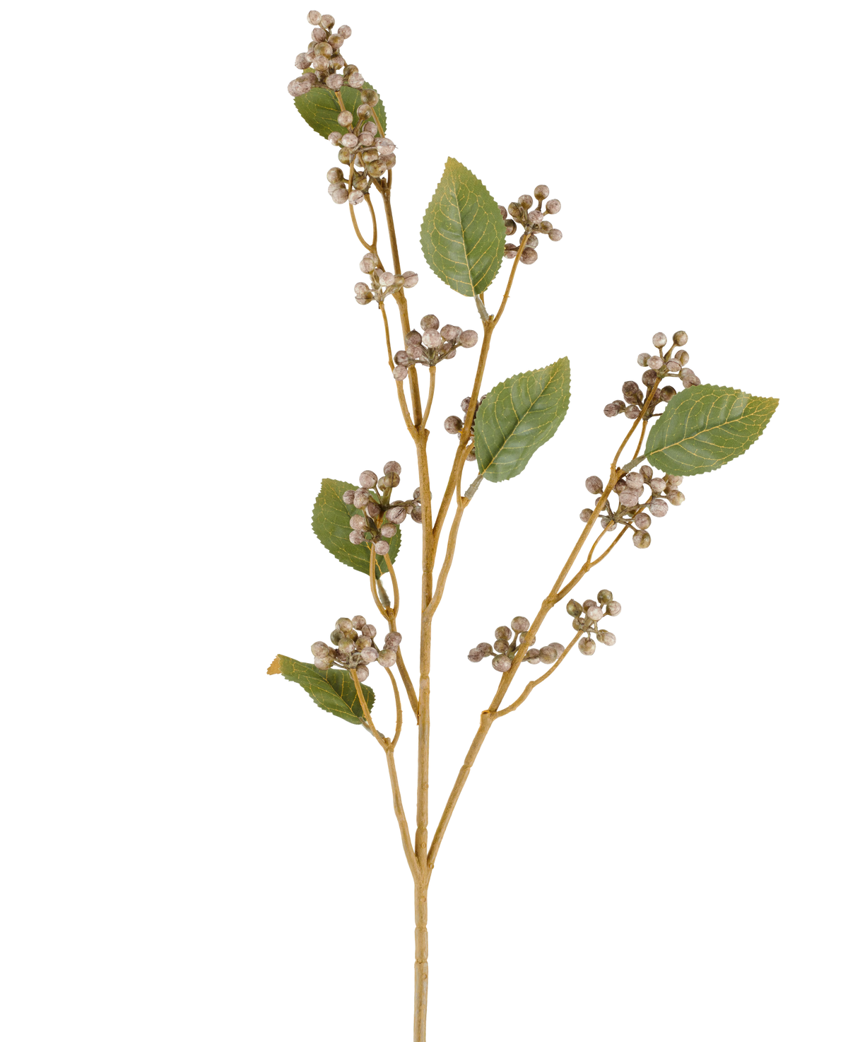 Ein einzelner Stiel der künstlichen Kratzbaumblume, 78 cm hoch, mit mehreren grünen Blättern und Büscheln kleiner, runder beiger Beeren auf dünnen braunen Stielen in Grau- und Lilatönen, vor einem weißen Hintergrund.
