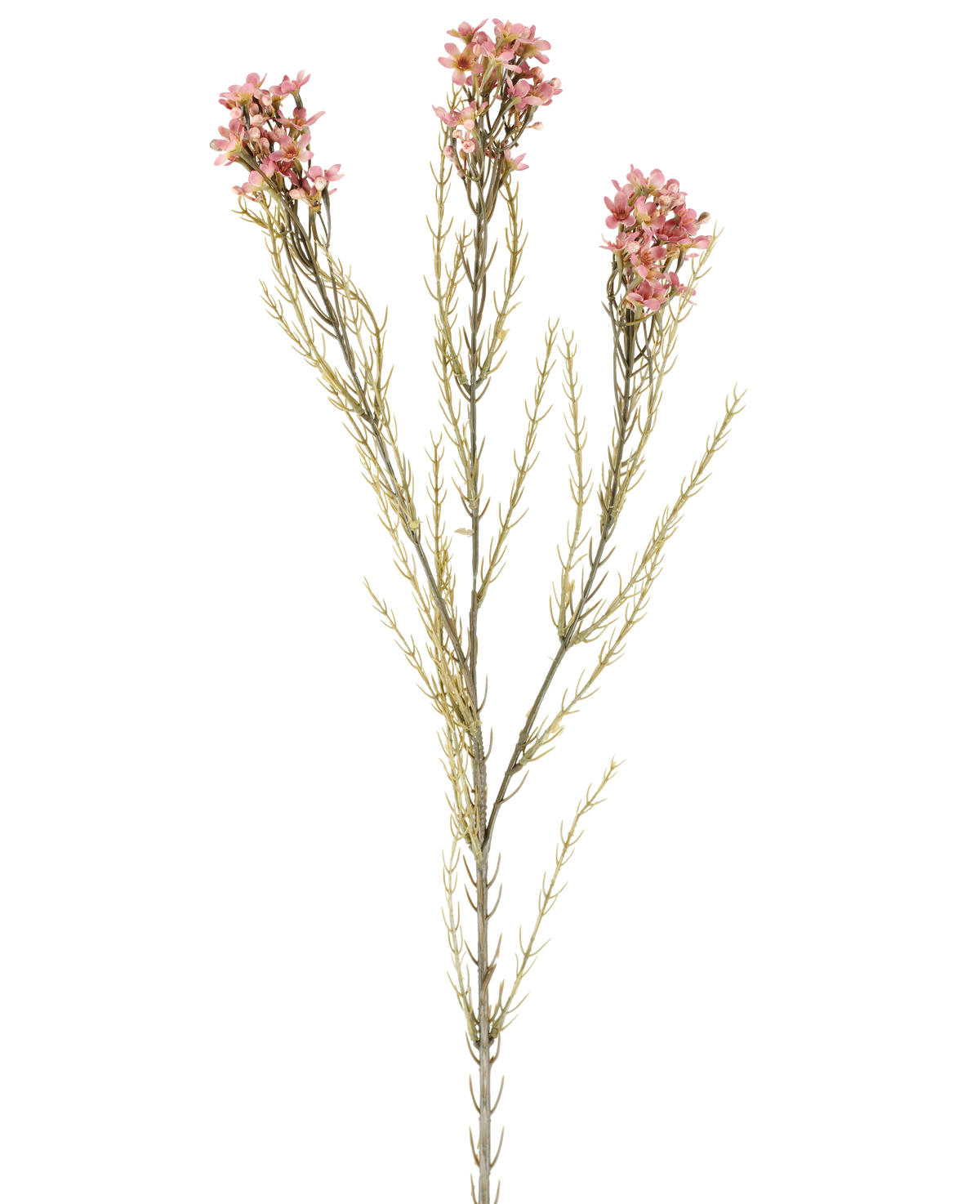 Eine einzelne 78 cm große künstliche Wachsblume in Altrosa hat einen grünen Stiel mit drei Zweigen, die jeweils kleine, zarte Altrosablüten und dünne, nadelartige Blätter tragen, die vor einem schlichten weißen Hintergrund zur Geltung kommen.