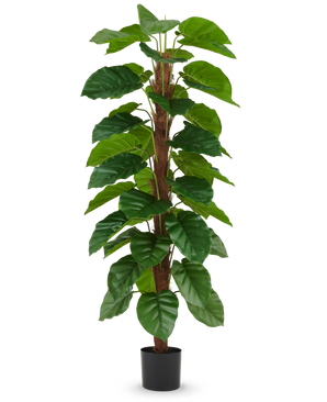 De Kunstplant Epipremnum aureum 180 cm heeft grote, glanzend groene bladeren die langs een centrale bruine stengel zijn gerangschikt en wordt geleverd in een kleine zwarte pot, afgebeeld tegen een effen witte achtergrond.