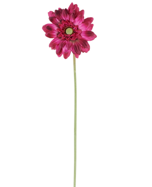 Eine einzelne künstliche Blumen-Mini-Gerbera von 47 cm in Dunkelrosa mit geschichteten Blütenblättern und einem grünen Herzen auf einem langen, schlanken grünen Stiel, isoliert vor einem weißen Hintergrund.