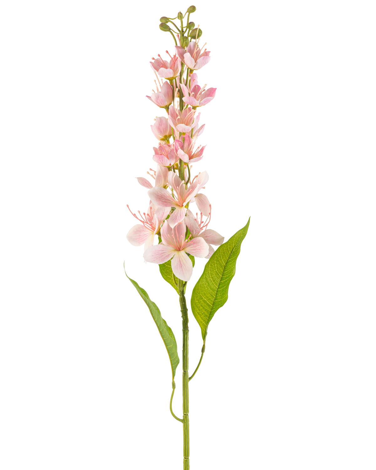 Eine einzelne künstliche Blume, asiatischer Apfel, 84 cm, rosa, mit blassrosa Blüten und schlanken grünen Blättern, vertikal angeordnet vor einem weißen Hintergrund.