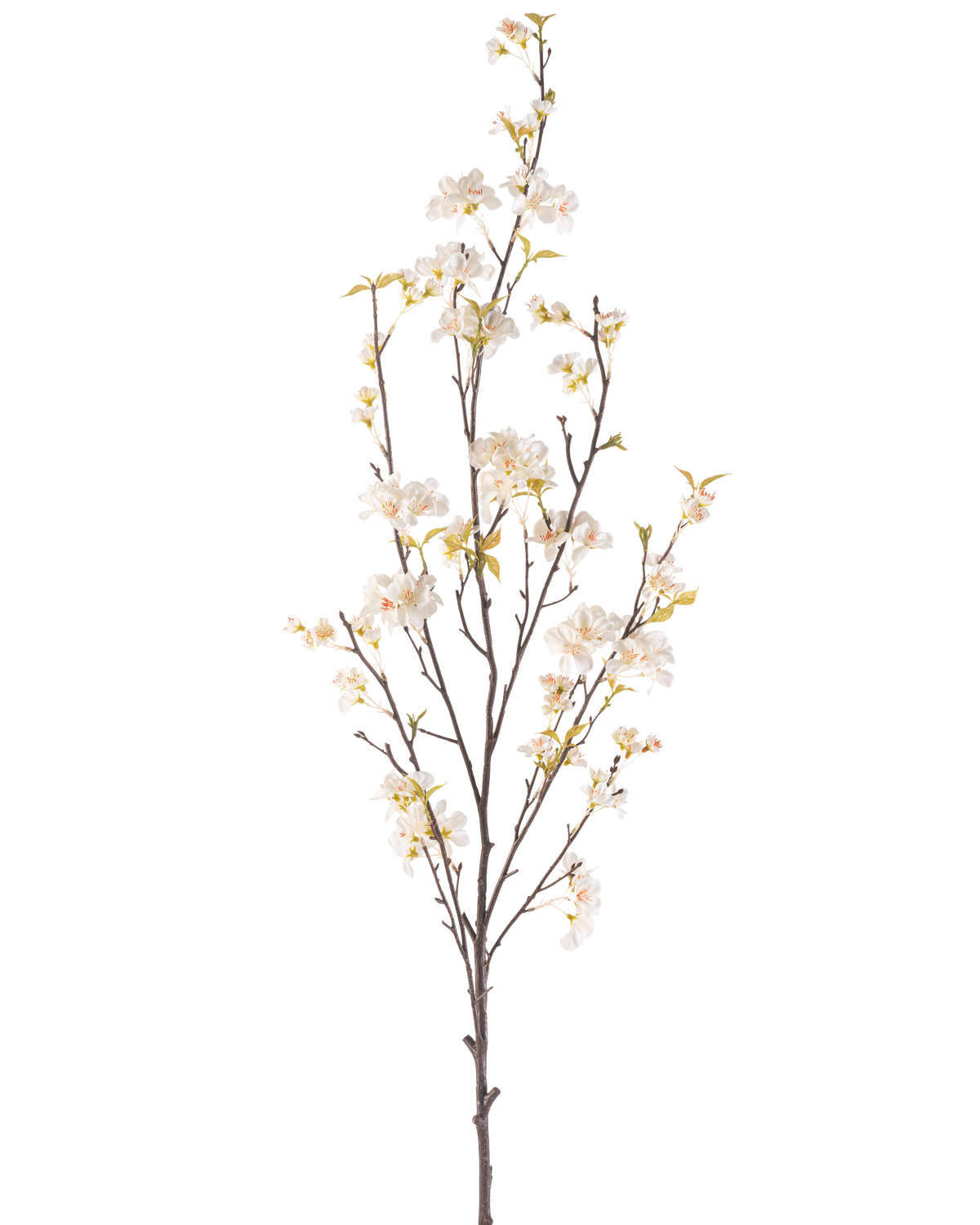 Die cremefarbene Kunstblume Kirschblüte 150 cm hat einen hohen Zweig mit mehreren dünnen Stielen, kleinen weißen Kirschblütenblüten und verstreuten grünen Blättern, alles vor einem schlichten weißen Hintergrund.