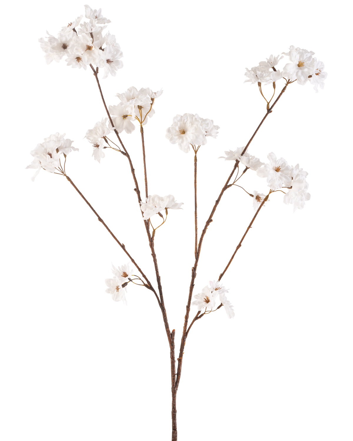 Die cremefarbene Kunstblume Kirschblüte 114 cm hat einen braunen Stiel, der sich in kleinere Stiele verzweigt, die jeweils mit zarten Kunstblumen in einem cremeweißen Farbton vor einem schlichten weißen Hintergrund verziert sind.