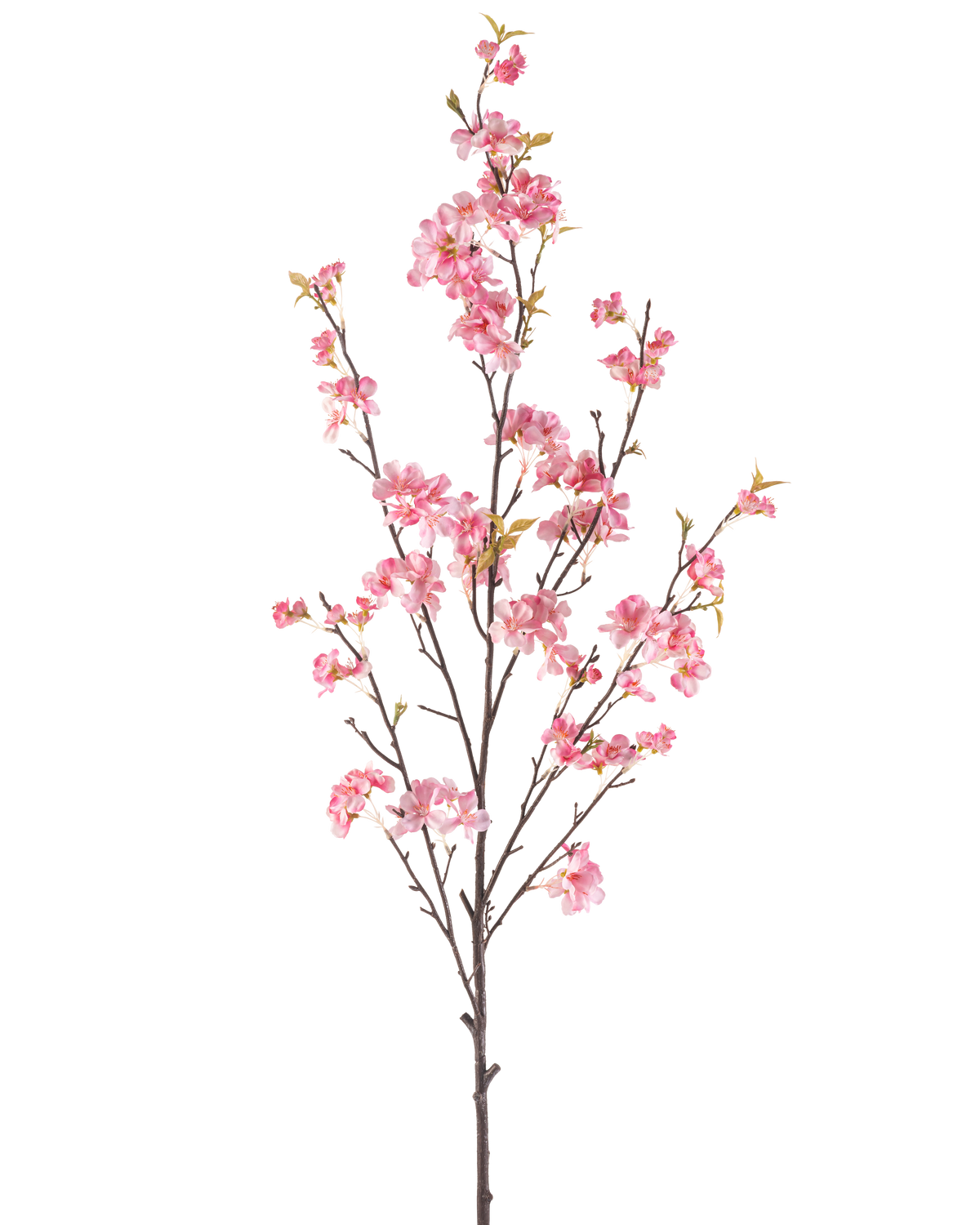Die künstliche Kirschblüte 150 cm rosa hat einen einzelnen braunen Zweig mit mehreren dünnen Stielen, verziert mit Büscheln zartrosa Kirschblüten und einigen grünen Blättern, isoliert auf weißem Hintergrund.