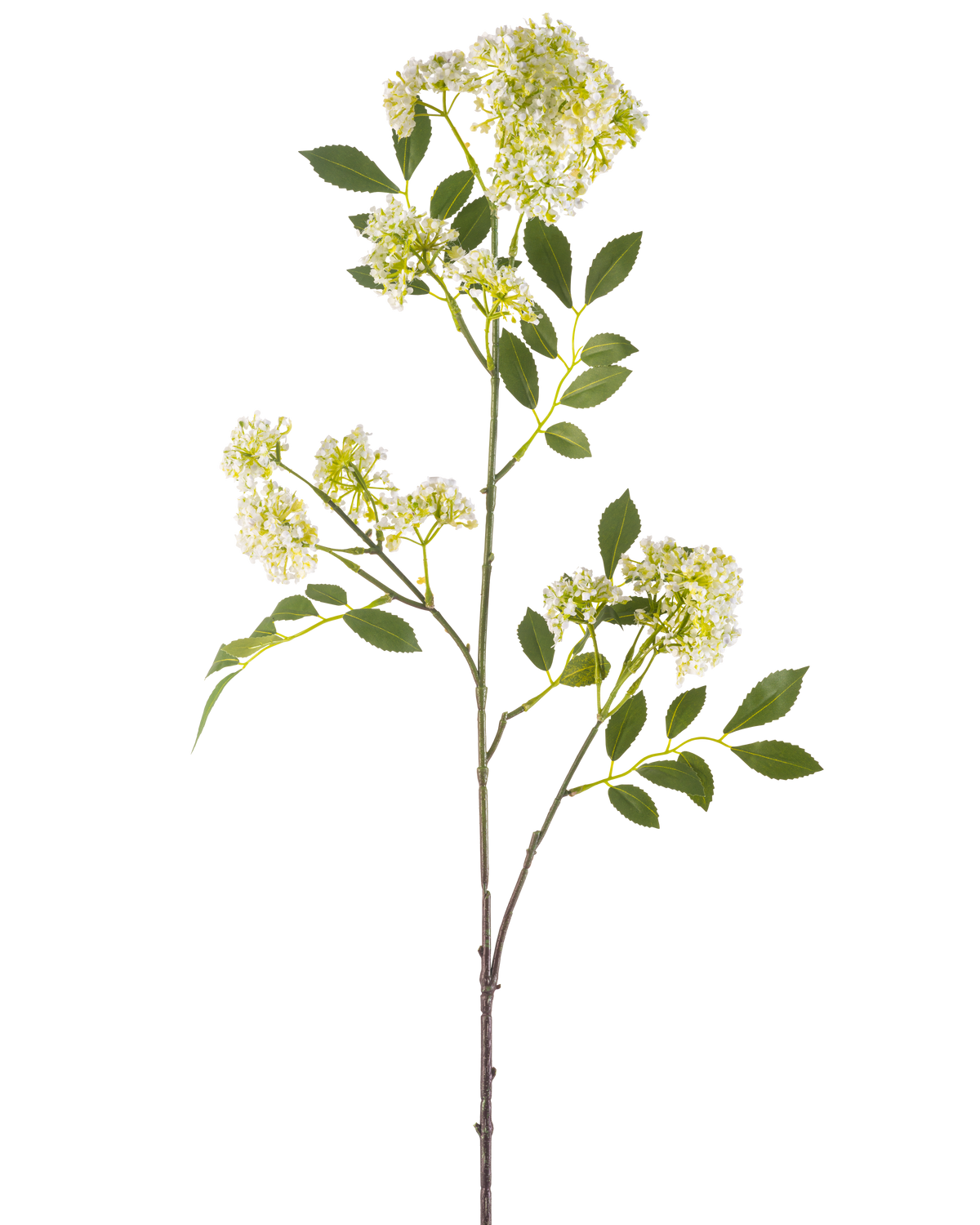 Die Kunstblume Wildkarotte 102 cm cremefarben hat einen einzelnen hohen Stiel mit Büscheln kleiner cremefarbener Blüten und mehreren grünen, gezackten Blättern vor einem weißen Hintergrund.