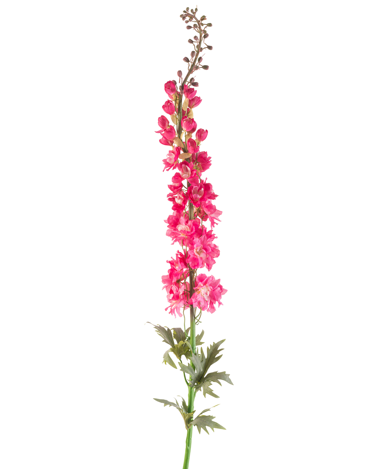 Eine einzelne künstliche Blume Rittersporn 137 cm in leuchtendem Rosa mit grünen Blättern, isoliert auf weißem Hintergrund.