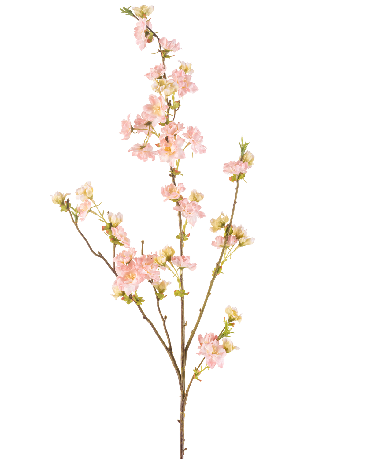 Die Kunstblume Kirschblüte 94 cm hellrosa hat einen einzelnen Zweig mit mehreren Zweigen, verziert mit Büscheln zarter hellrosa Kirschblüten und grünen Knospen, vor einem schlichten weißen Hintergrund.