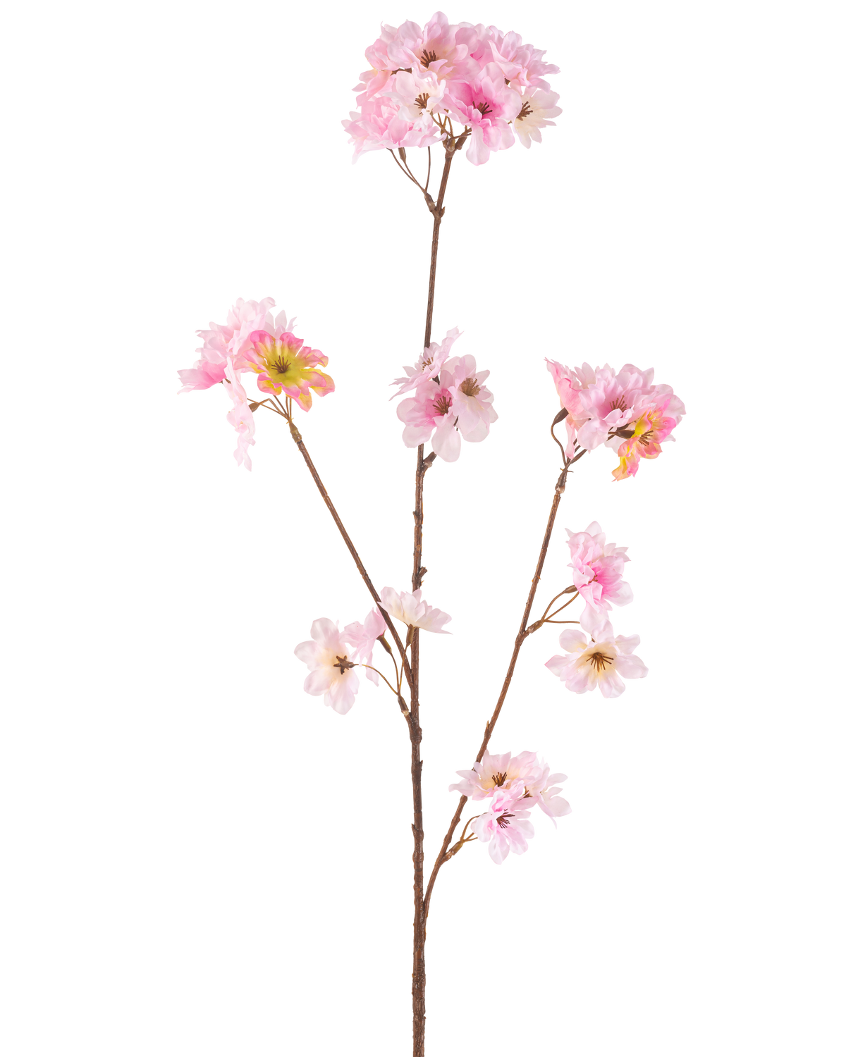 Die künstliche Blume Kirschblüte 85 cm rosa hat einen einzelnen braunen Stiel mit mehreren Zweigen, die jeweils mit Büscheln zarter hellrosa künstlicher Kirschblüten vor einem schlichten weißen Hintergrund verziert sind.