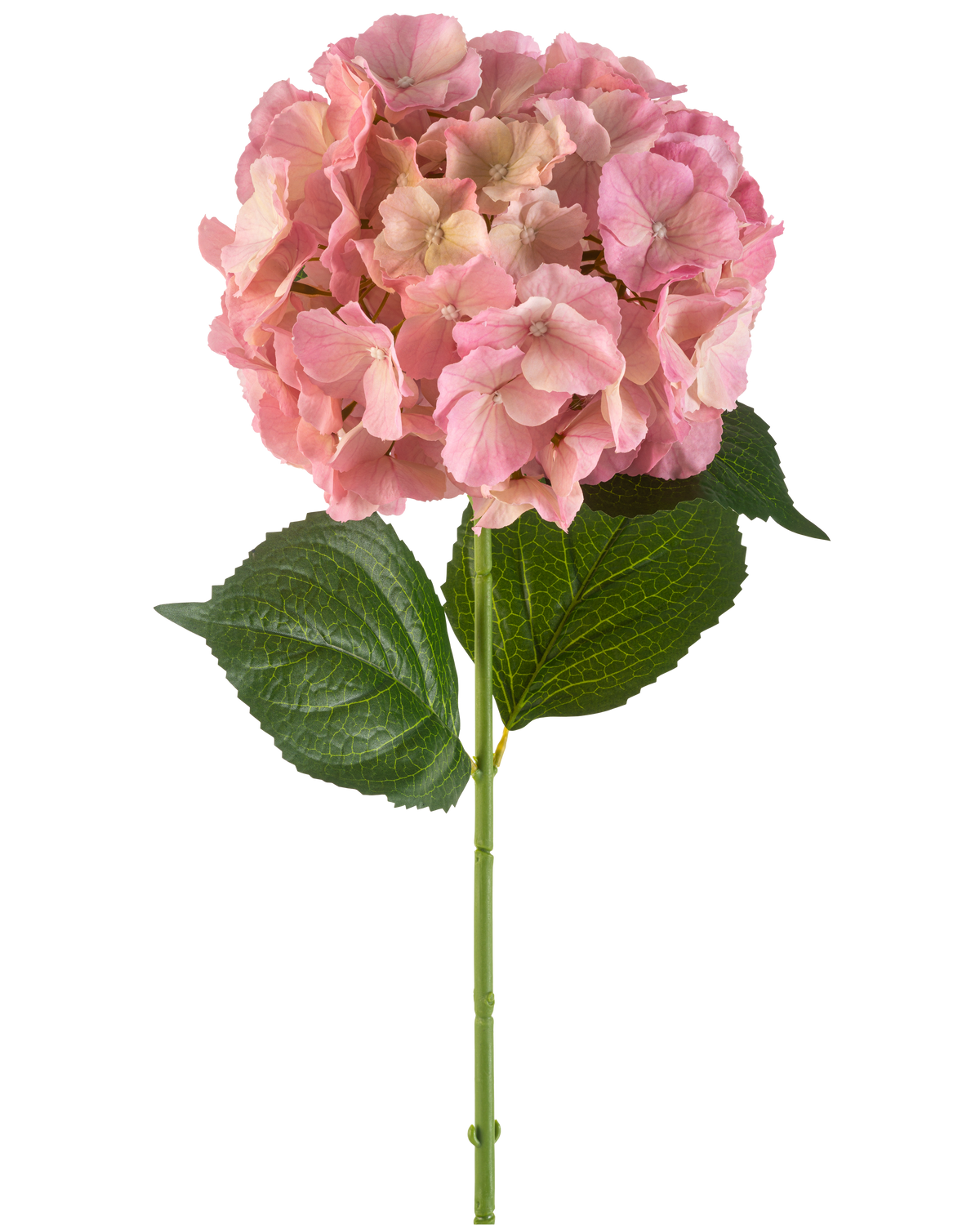 Die künstliche Blumenhortensie 75 cm rosa hat eine einzelne rosa Hortensienblüte mit feinen Blütenblättern und zwei großen grünen Blättern an einem langen grünen Stiel vor einem weißen Hintergrund.
