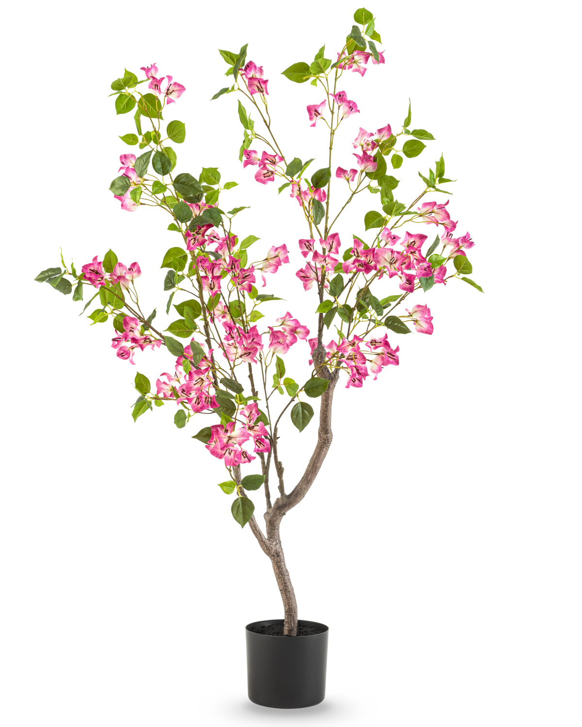 Die künstliche Bougainvillea 120 cm hat mehrere Zweige, grüne Blätter und Büschel leuchtend rosa Blüten vor einem schlichten weißen Hintergrund.