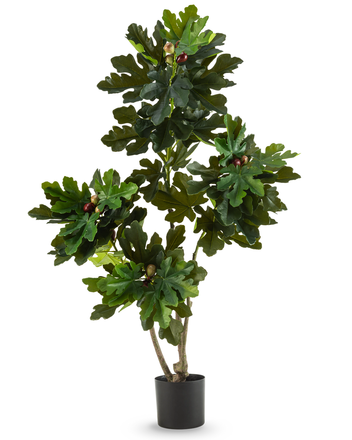 Der künstliche Feigenbaum Ficus Carica 150 cm ist ein künstlicher Feigenbaum in einem Topf mit mehreren Zweigen, großen grünen Blättern und kleinen dunkelvioletten Kunstfeigen in einem einfachen schwarzen Topf vor einem schlichten weißen Hintergrund.