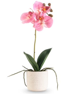 De Kunst Orchidee Real Touch 30 cm roze heeft verschillende roze bloesems en knoppen op een lange steel met brede groene bladeren en zichtbare wortels, allemaal gerangschikt in een eenvoudige pot met witte textuur tegen een effen witte achtergrond.