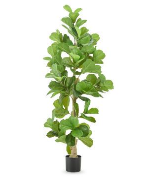 De Kunstplant Tabaksplant 210 cm is een hoge kunsttabaksplant met brede, glanzend groene bladeren in een zwarte pot, geïsoleerd afgebeeld op een witte achtergrond.
