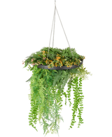 De Kunst hangplant varen UV 40 cm in ring zwart heeft weelderige groene en gele kunstplanten en slingerende wijnranken in een zwarte hangplant met zilveren kettingen, tegen een witte achtergrond.