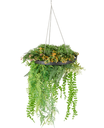 De Kunst hangplant varen UV 40 cm in ring zwart heeft weelderige groene en gele kunstplanten en slingerende wijnranken in een zwarte hangplant met zilveren kettingen, tegen een witte achtergrond.