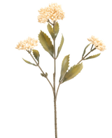 De Kunstbloem Kalanchoë 47 cm creme heeft een enkele kunststengel met drie trossen kleine, licht crème bloemen en groen gekartelde bladeren, tegen een effen witte achtergrond.