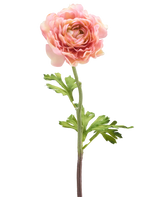 De Kunstbloem Ranonkel 51 cm roze heeft een enkele roze ranonkel met gelaagde bloemblaadjes en groene bladeren op een lange steel, geïsoleerd tegen een witte achtergrond.