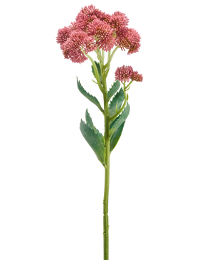 De Kunstbloem Dianthus 55 cm lila heeft een enkele groene stengel met gekartelde bladeren en trosjes kleine, lila bloemen aan de bovenkant, tegen een effen witte achtergrond.