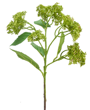 Een Kunstbloem Hortensia 56 cm groen/rood met een groene stengel met trosjes compacte groene knoppen en langwerpige bladeren, afgebeeld tegen een witte achtergrond.