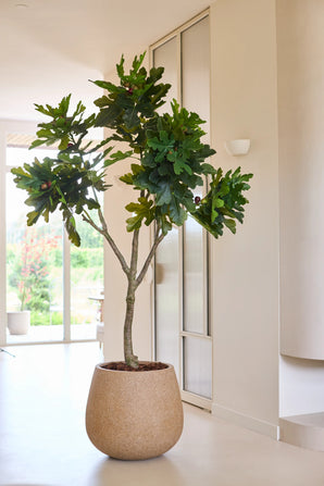 Een kunstplant, een Ficus Carica-vijgenboom van 210 cm in een ronde beige pot, staat in een lichte, moderne kamer met lichte muren en grote ramen die veel natuurlijk licht binnenlaten.